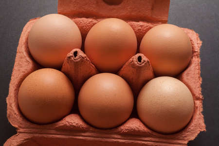 Eggs in the packageの写真素材