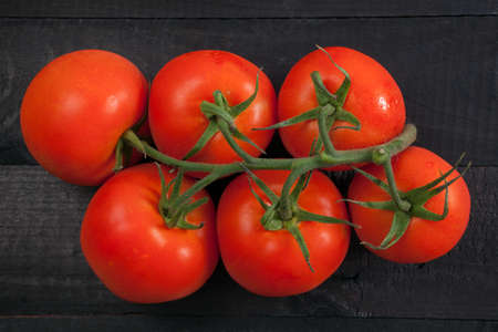 Tomato bunch on black backgroundの写真素材