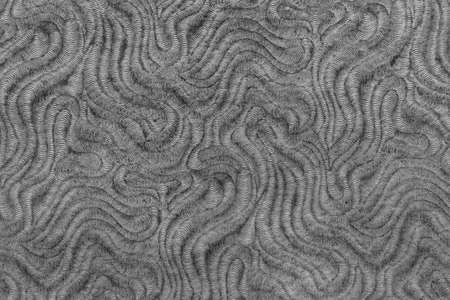 Old textured rice vellum paper separators for photo albumsの写真素材