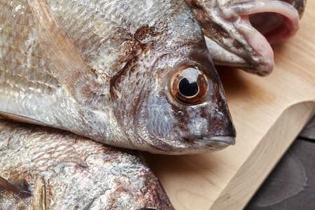 Sciaena umbra, diplodus annularis on wooden cutting board at the kitchenの写真素材
