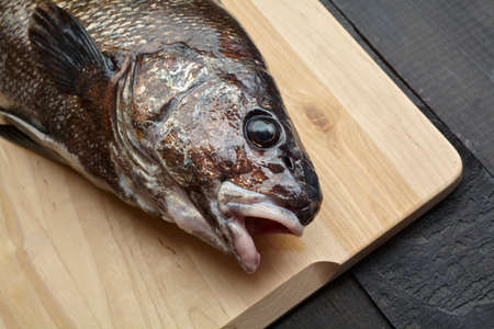 Sciaena umbra on wooden cutting board at the kitchenの写真素材