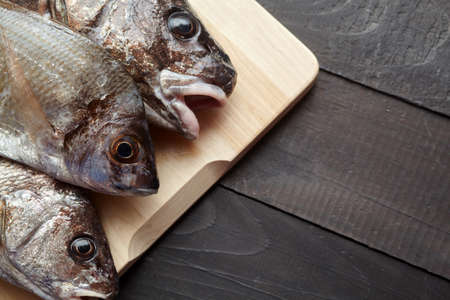 Sciaena umbra, diplodus annularis on wooden cutting board at the kitchenの写真素材