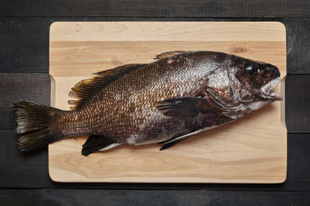 Sciaena umbra on wooden cutting board at the kitchenの写真素材