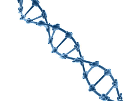 Concept of biochemistry with dna Structure isolated in white background, Medical science background. 3d renderingの写真素材