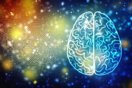 Human brain 2d illustration, Digital illustration of Human brain structure, Creative brain concept...