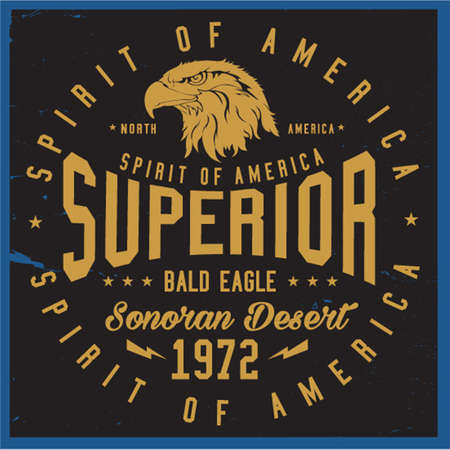 Varsity vector graphics - athletic vintage artwork with grunge background.のイラスト素材