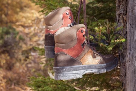 Hiking boots hanging on a tree in the mountainsの写真素材