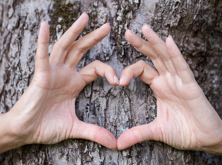 Hands show love icon in front of a treeの写真素材
