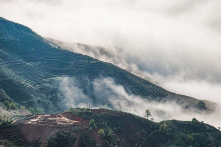 Ta Xua is a famous mountain range in northern Vietnam. All year round, the mountain rises above the clouds creating cloud inversions.の写真素材