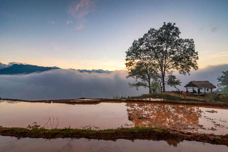 Terraced rice field landscape with road and big tree in Choan Then, Y Ty, Bat Xatの写真素材
