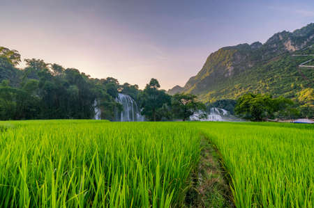 Ban Gioc - Detian waterfall in Cao Bang, Vietnamの写真素材