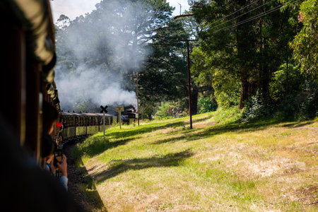 Puffing Billy steam train in Australiaの写真素材