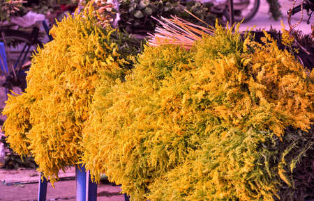Various flower in flower shop