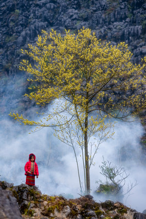 HA GIANG, VIETNAM - February 4, 2022: Hmong children in the mountains of Dong Van, Ha Giang province, Vietnamのeditorial素材