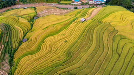 Rice fields on terraced of Mu Cang Chai, YenBai, Vietnam. Rice fields prepare the harvest at Northwest Vietnam.の写真素材