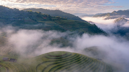 Rice fields on terraced of Mu Cang Chai, YenBai, Vietnam. Rice fields prepare the harvest at Northwest Vietnam.の写真素材