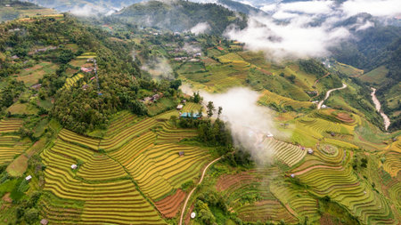 Rice fields on terraced of Mu Cang Chai, YenBai, Vietnam. Rice fields prepare the harvest at Northwest Vietnam.の写真素材