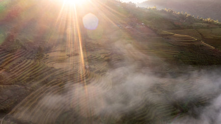 Rice fields on terraced of Mu Cang Chai, YenBai, Vietnam. Rice fields prepare the harvest at Northwest Vietnam.の写真素材