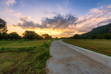 Ta Pa rice fields are beautiful in the morning, interspersed with beautiful and peaceful borassus flabellifer field in the border delta of Vietnamの写真素材