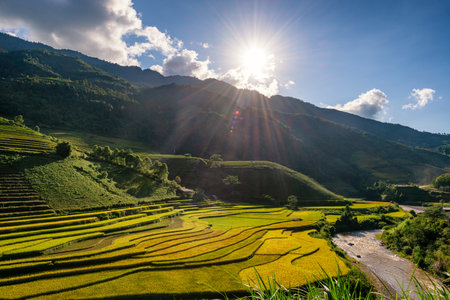 Rice fields on terraced of Mu Cang Chai, YenBai, Vietnam. Rice fields prepare the harvest at Northwest Vietnam.Vietnam landscapes.の写真素材