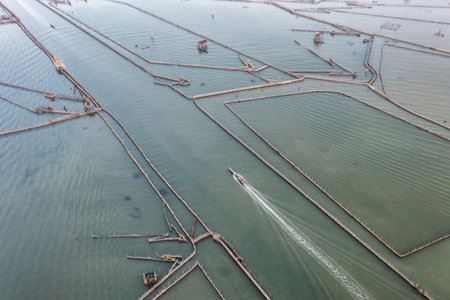 Chuon Lagoon, Hue belongs to the largest lagoon system in Vietnam, where fish are caught and...