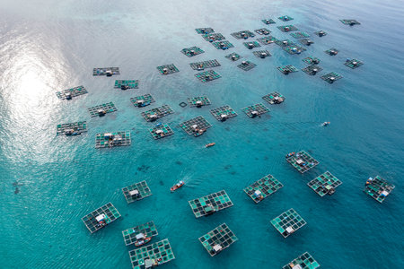 Ly Son Island is a district within Quang Ngai, a central province which generally escapes the notice of most travellersの写真素材