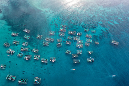 Ly Son Island is a district within Quang Ngai, a central province which generally escapes the notice of most travellersの写真素材