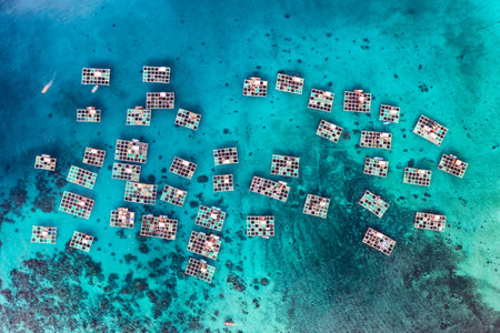 Ly Son Island is a district within Quang Ngai, a central province which generally escapes the notice of most travellersの写真素材