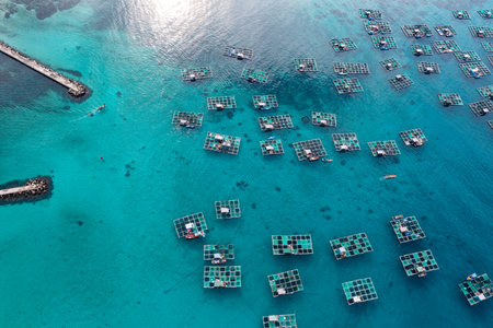 Ly Son Island is a district within Quang Ngai, a central province which generally escapes the notice of most travellersの写真素材