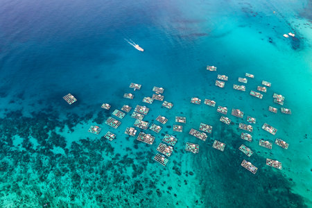 Ly Son Island is a district within Quang Ngai, a central province which generally escapes the notice of most travellersの写真素材