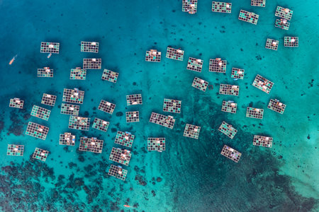 Ly Son Island is a district within Quang Ngai, a central province which generally escapes the notice of most travellersの写真素材