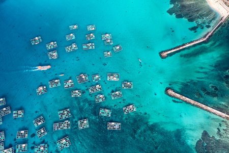 Ly Son Island is a district within Quang Ngai, a central province which generally escapes the notice of most travellersの写真素材