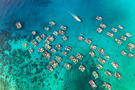 Ly Son Island is a district within Quang Ngai, a central province which generally escapes the notice of most travellersの写真素材