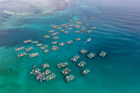 Ly Son Island is a district within Quang Ngai, a central province which generally escapes the notice of most travellersの写真素材