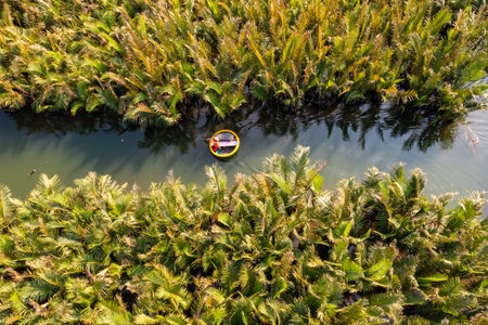 VIEW OF RUNG DUA BAY MAU OR COCONUT WATER ( MANGROVE PALM ) FOREST 7 HECTA IN CAM THANH VILLAGE, HOI AN ANCIENT TOWN, UNESCO WORLD HERITAGE, VIETNAM. HOI AN IS ONE OF THE MOST POPULAR DESTINATIONSの写真素材