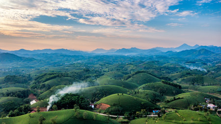 Aerial view of tea plantation and sunrise at Long Coc tea hill, Phu Tho province, Vietnamの写真素材