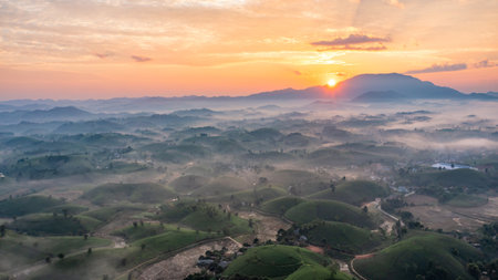 Aerial view of tea plantation and sunrise at Long Coc tea hill, Phu Tho province, Vietnamの写真素材