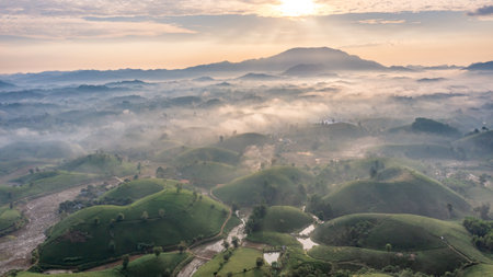 Aerial view of tea plantation and sunrise at Long Coc tea hill, Phu Tho province, Vietnamの写真素材
