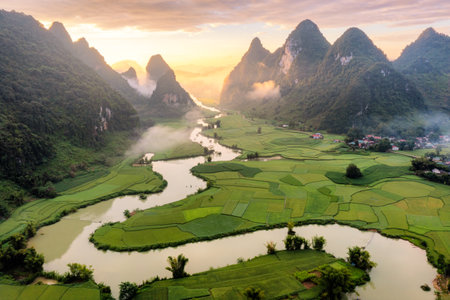 Rice and rice field at Phong Nam village in Trung Khanh, Cao Bang, Vietnam.の写真素材