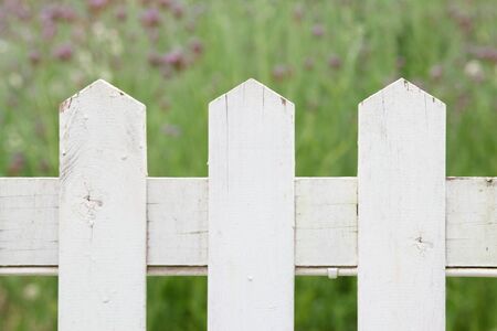 Section of a white picket fence with green garden in the backgroundの写真素材