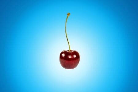 One cherry on stalkの写真素材