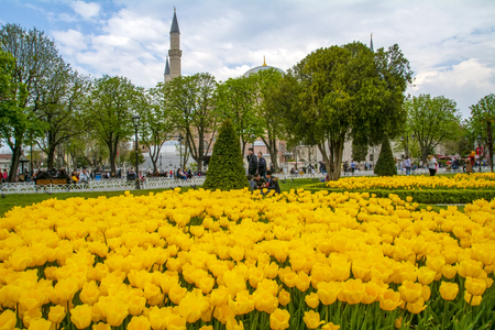 ISTANBUL TURKEY - June 14, 2019: Sunny day architecture and Hagia Sophia Museum in Eminonu, Istanbul, Turkeyのeditorial素材