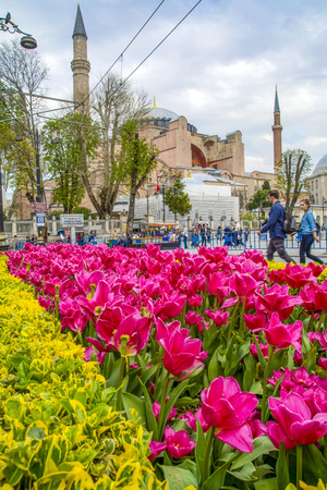 Hagia Sophia is seen behind tulips and fountain at the Sultan ahmet Square in Istanbul, Turkeyのeditorial素材
