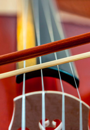Close-up of a double bass and wooden sticks on a red background