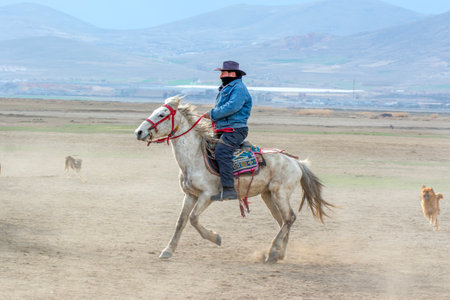 Unidentified Turkish man rides a horse in the steppe.の写真素材