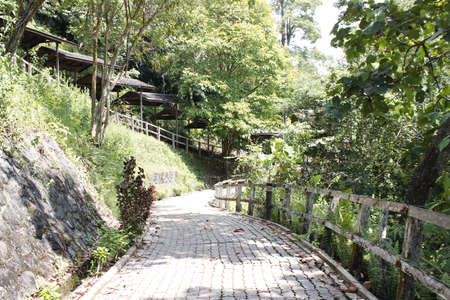 Batang Ai Resort corridor, Borneoの写真素材