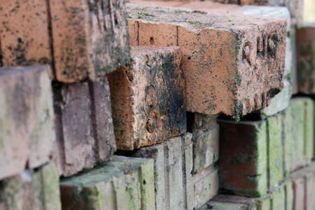 Old red brick with mossの写真素材