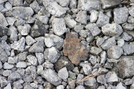 Group of mini rocksの写真素材