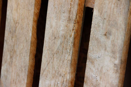 Wooden close upの写真素材