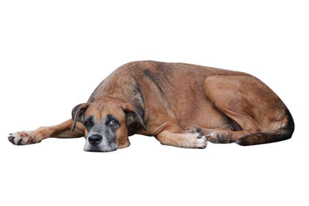 Arrayの写真素材